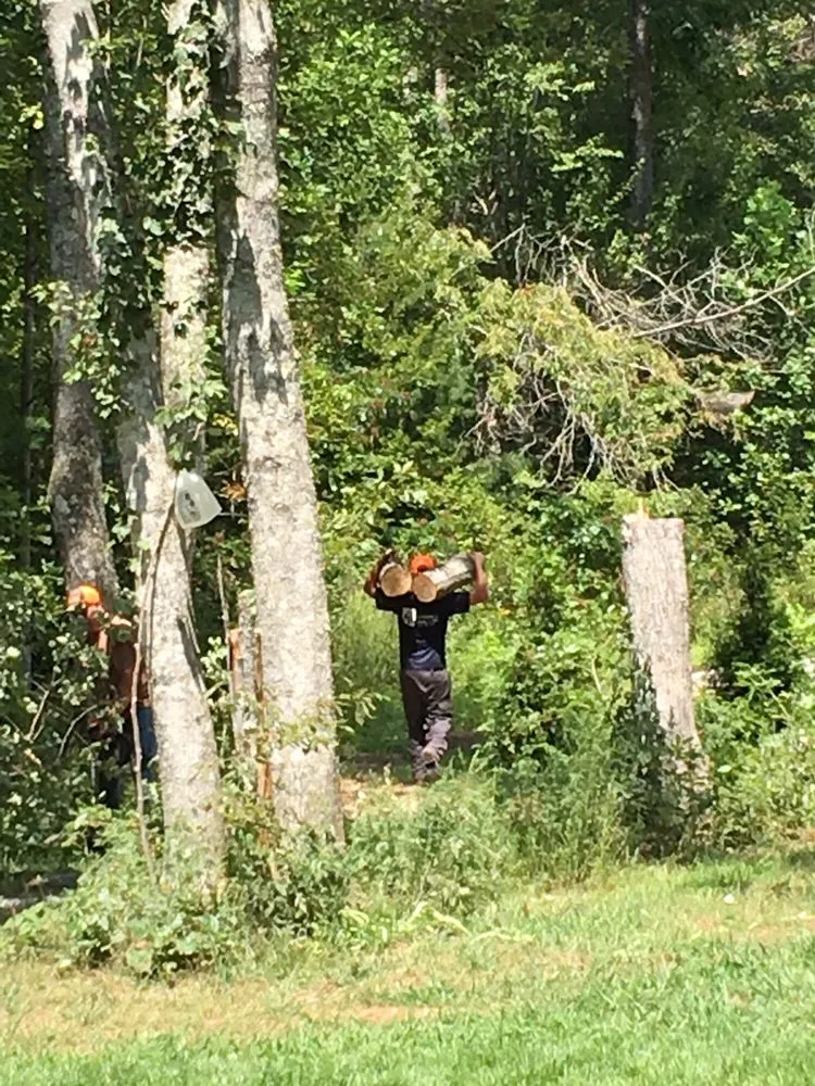 Local residential landscaping with custom design in Crossville, TN by Volunteer Tree