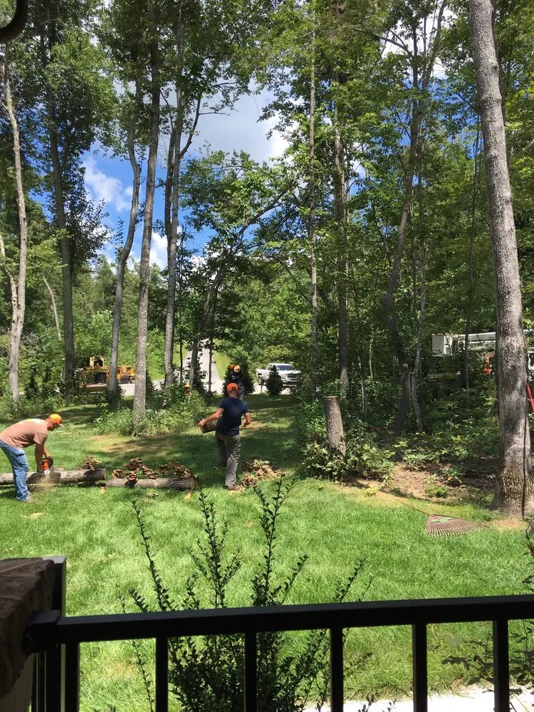 Custom residential landscaping in Crossville, TN by Volunteer Tree