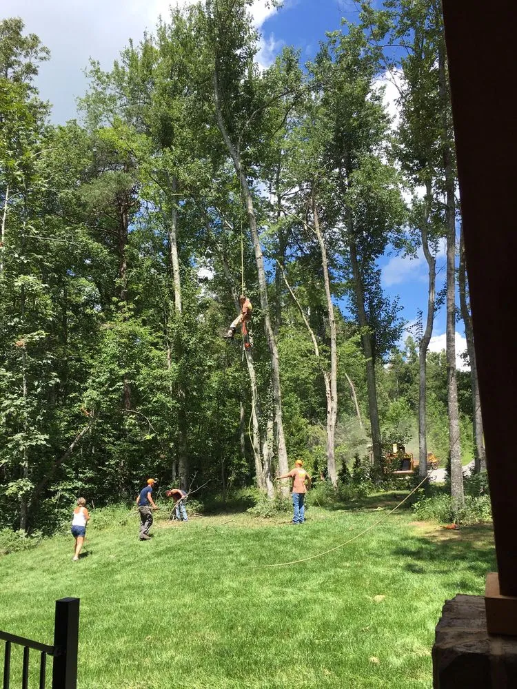 Trusted lawn care service in Crossville, TN - Volunteer Tree