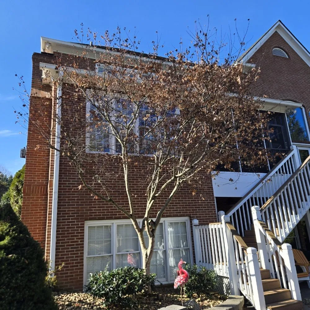 Reliable outdoor landscaping for year-round maintenance across Knoxville, TN - Voluntrees