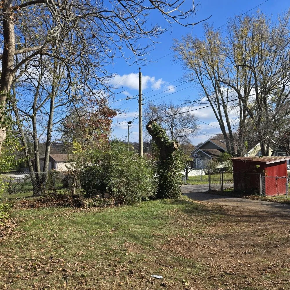 Local residential landscaping for homes in Knoxville, TN by Voluntrees