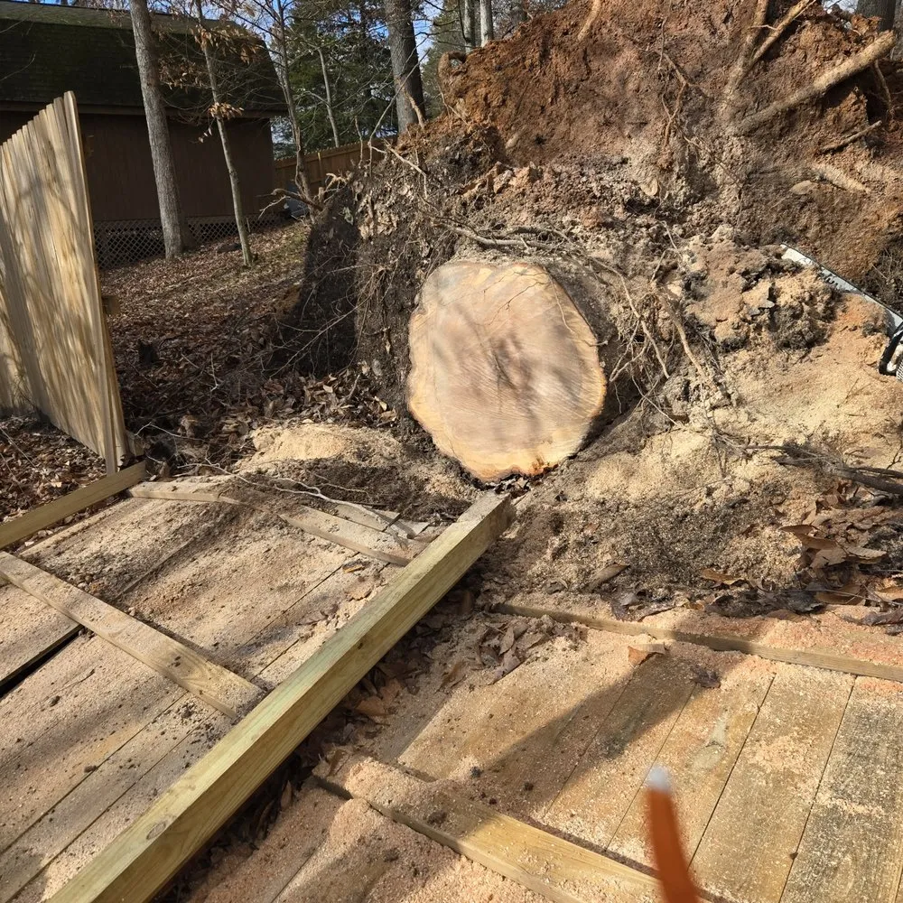 Custom yard maintenance in Knoxville, TN by Voluntrees