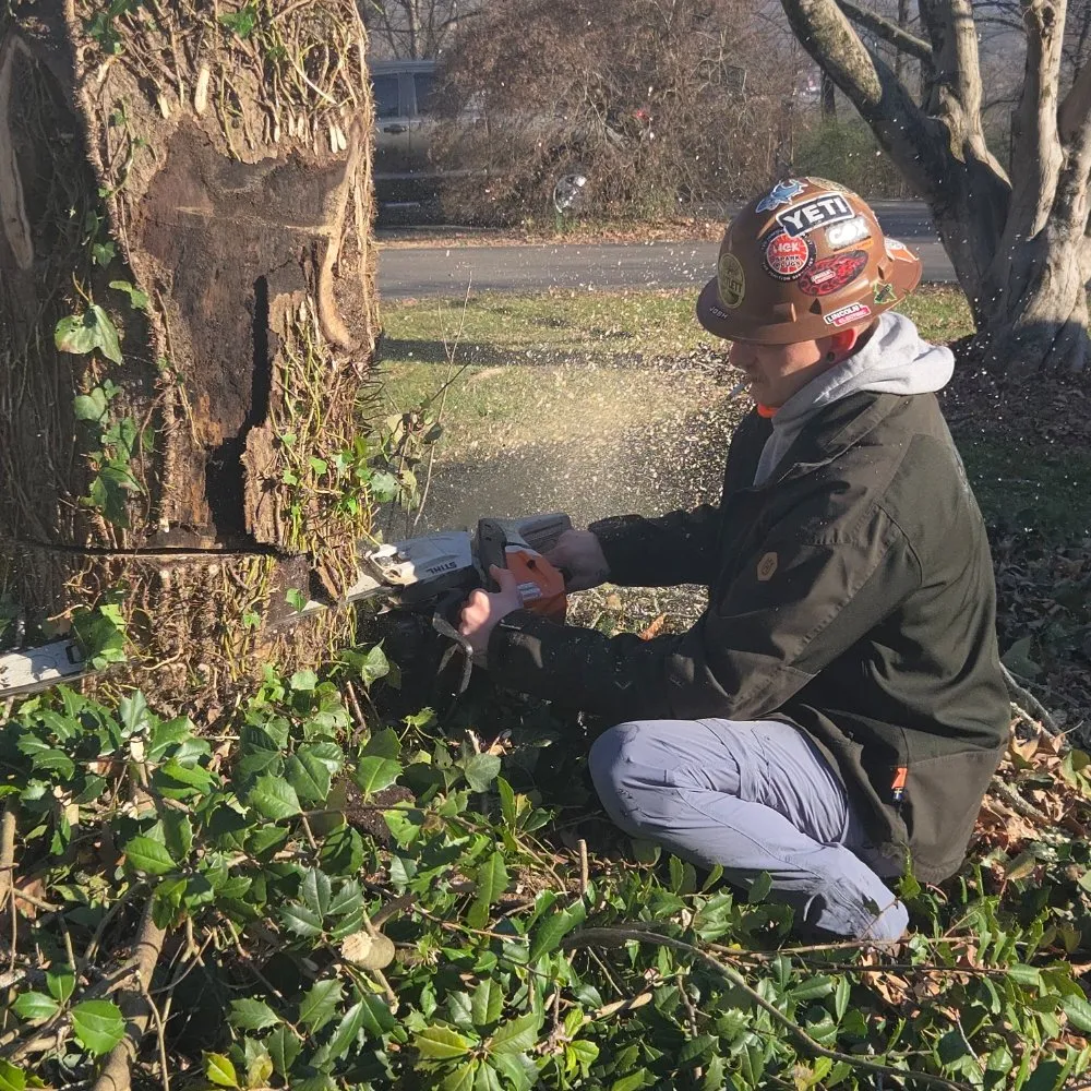 Reliable garden landscaping with custom design across Knoxville, TN - Voluntrees