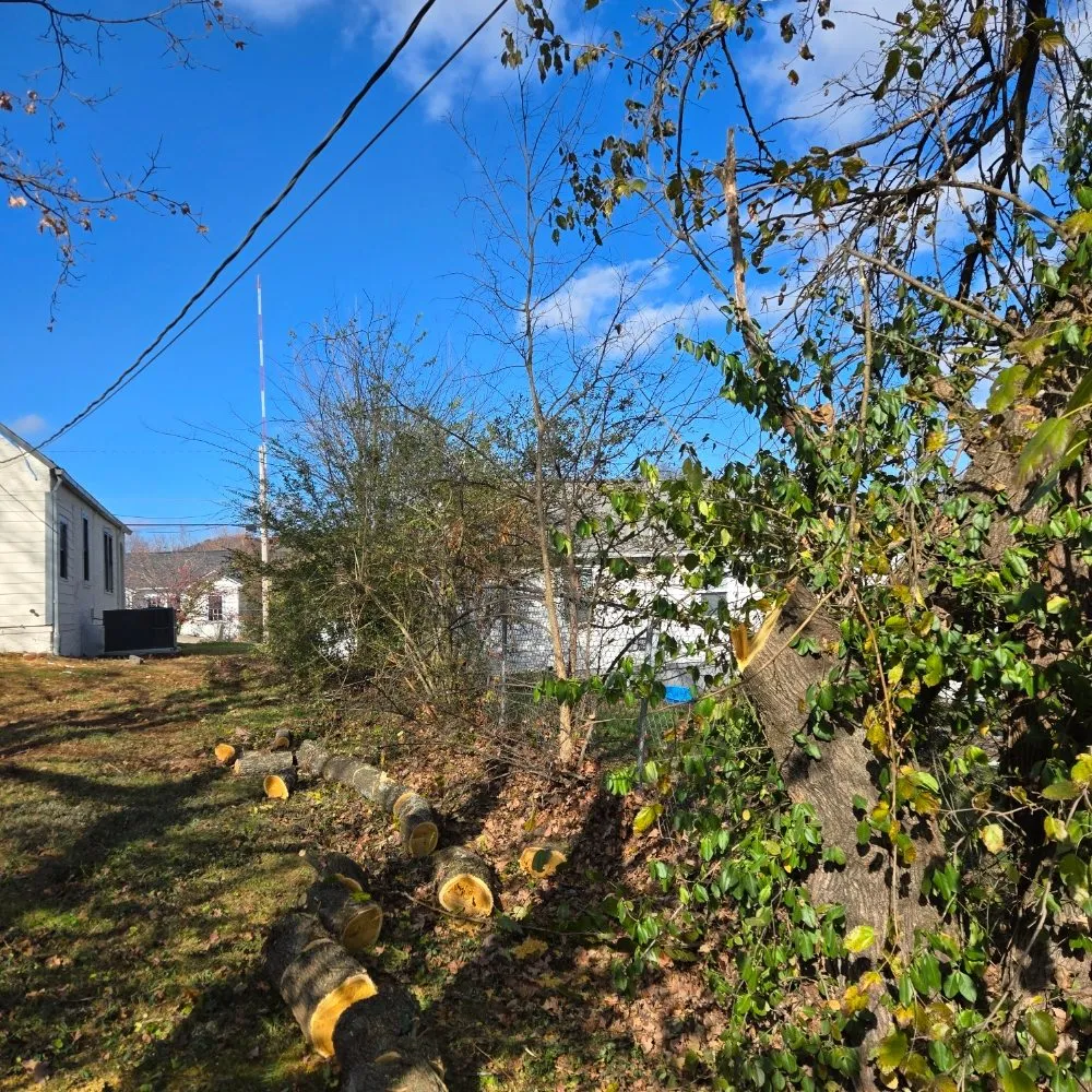 Top-rated garden landscaping near you in Knoxville, TN by Voluntrees