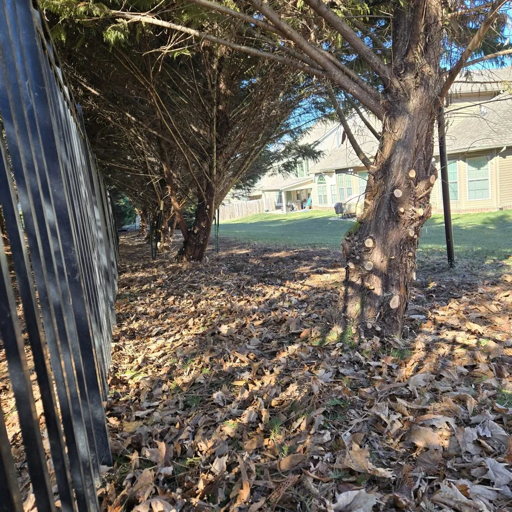 Trusted landscape installation in Knoxville, TN by Voluntrees