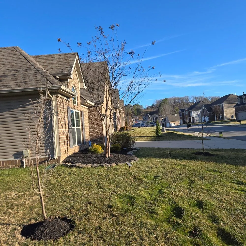 Expert lawn care service for homes across Knoxville, TN - Voluntrees