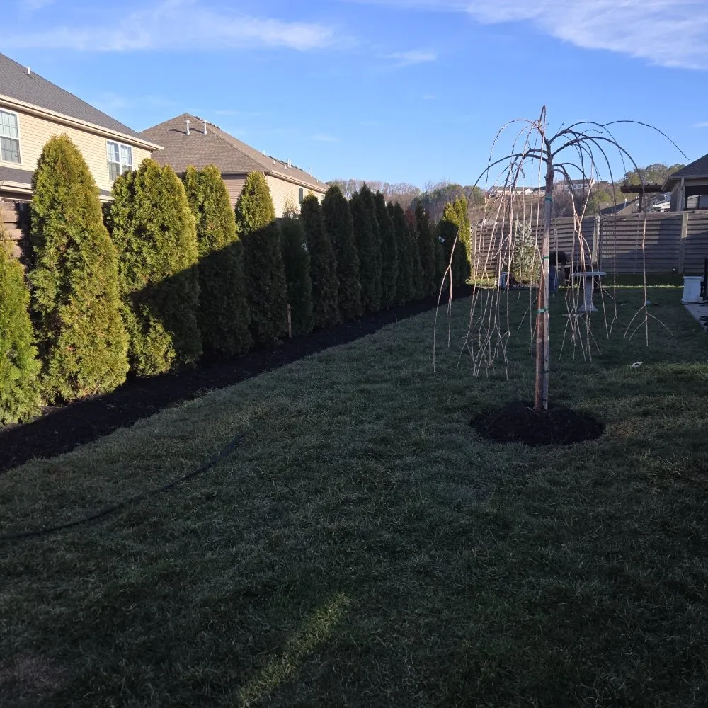 Trusted landscape design experts serving Knoxville, TN - Voluntrees