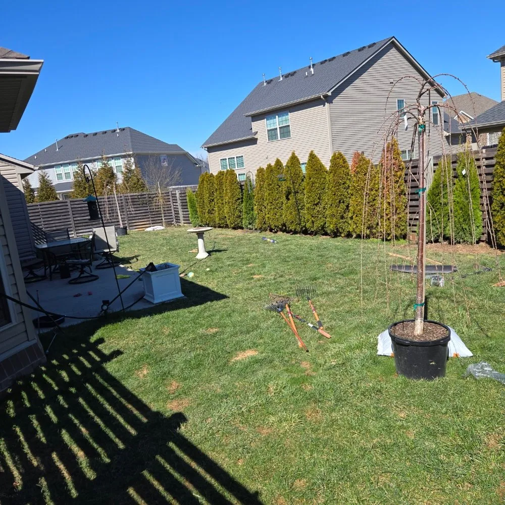 Reliable yard maintenance in Knoxville, TN - Voluntrees