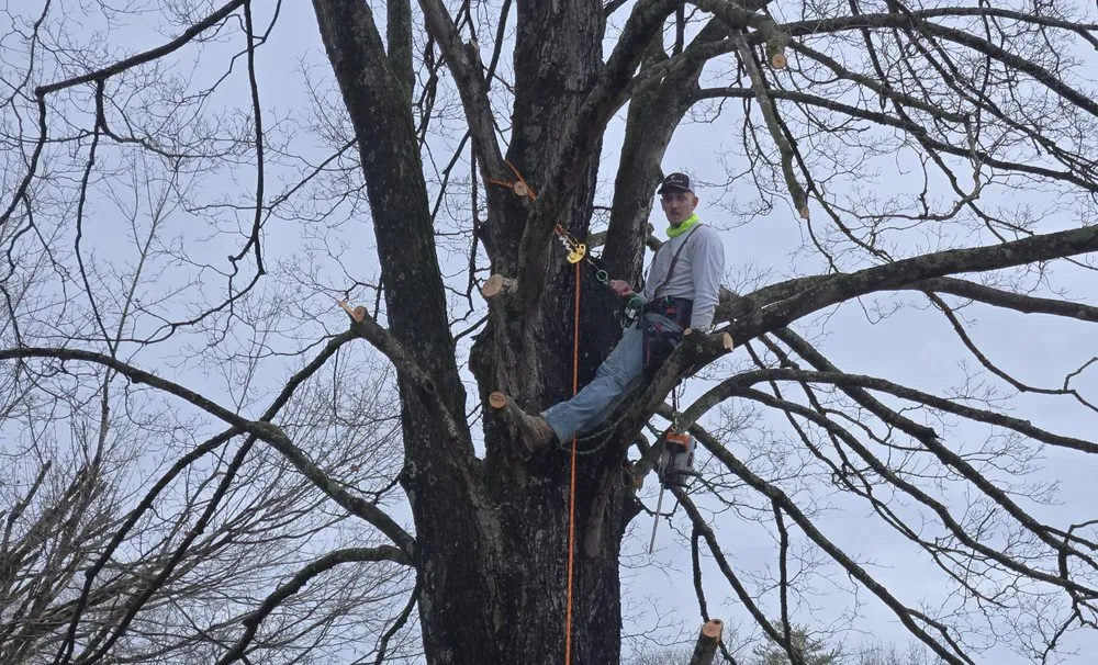 Custom lawn care service for outdoor upgrades in Knoxville, TN by Voluntrees