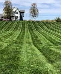 Affordable yard maintenance with custom design across Evansville, IN - Von Gogetem