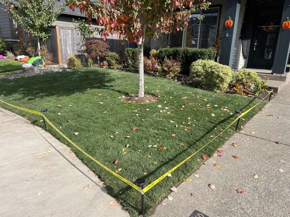 Custom yard maintenance in McMinnville, OR - Von Landscaping