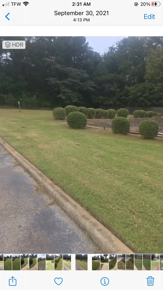 Trusted landscape design in Albany, GA - Von Lawn Care