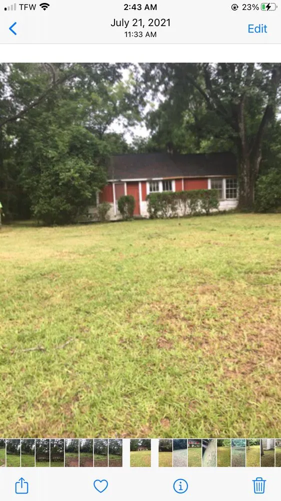 Top-rated landscape design experts serving Albany, GA - Von Lawn Care