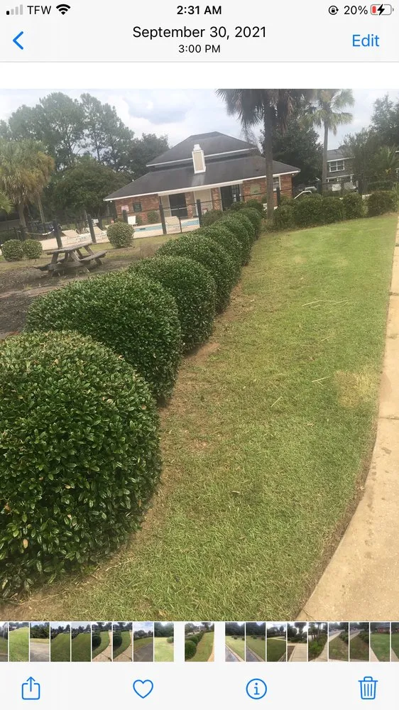 Affordable outdoor landscaping in Albany, GA by Von Lawn Care