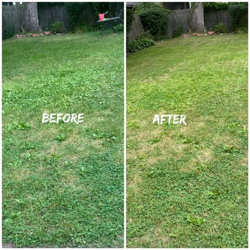 Reliable lawn care service in Rochester, NY by Vons Crispy Clean