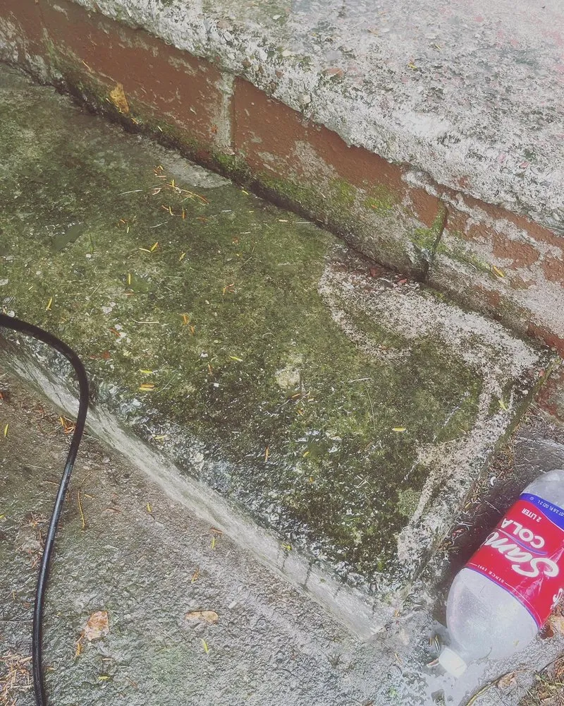 Reliable residential landscaping for homes in Rochester, NY by Vons Crispy Clean