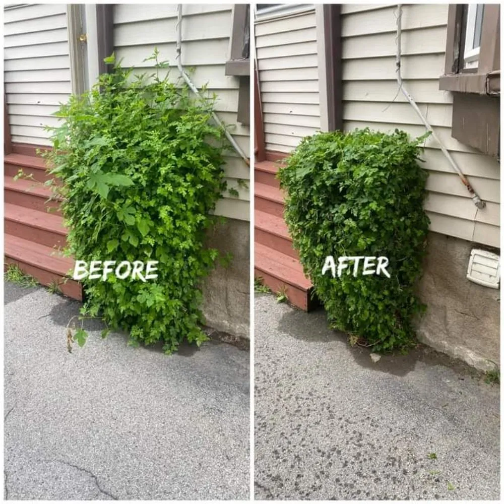 Reliable residential landscaping experts serving Rochester, NY - Vons Crispy Clean