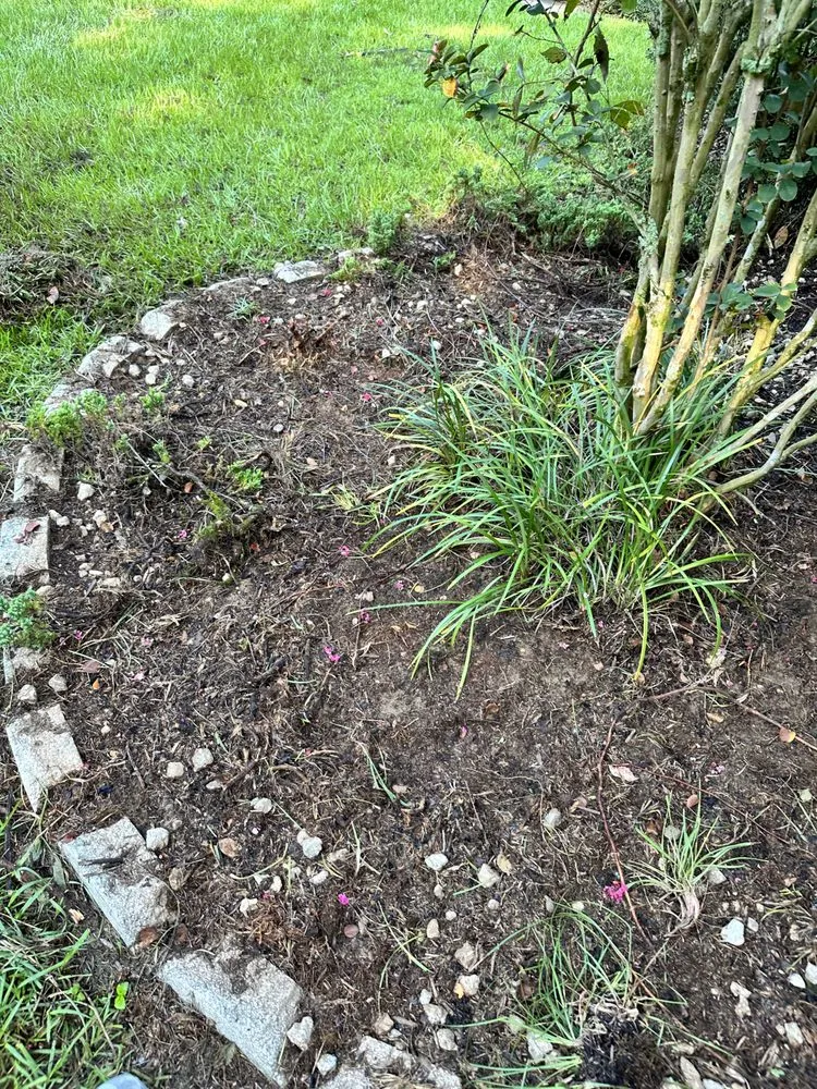 Professional yard maintenance in Ocala, FL - Von’s Landscaping & Removal Specialist