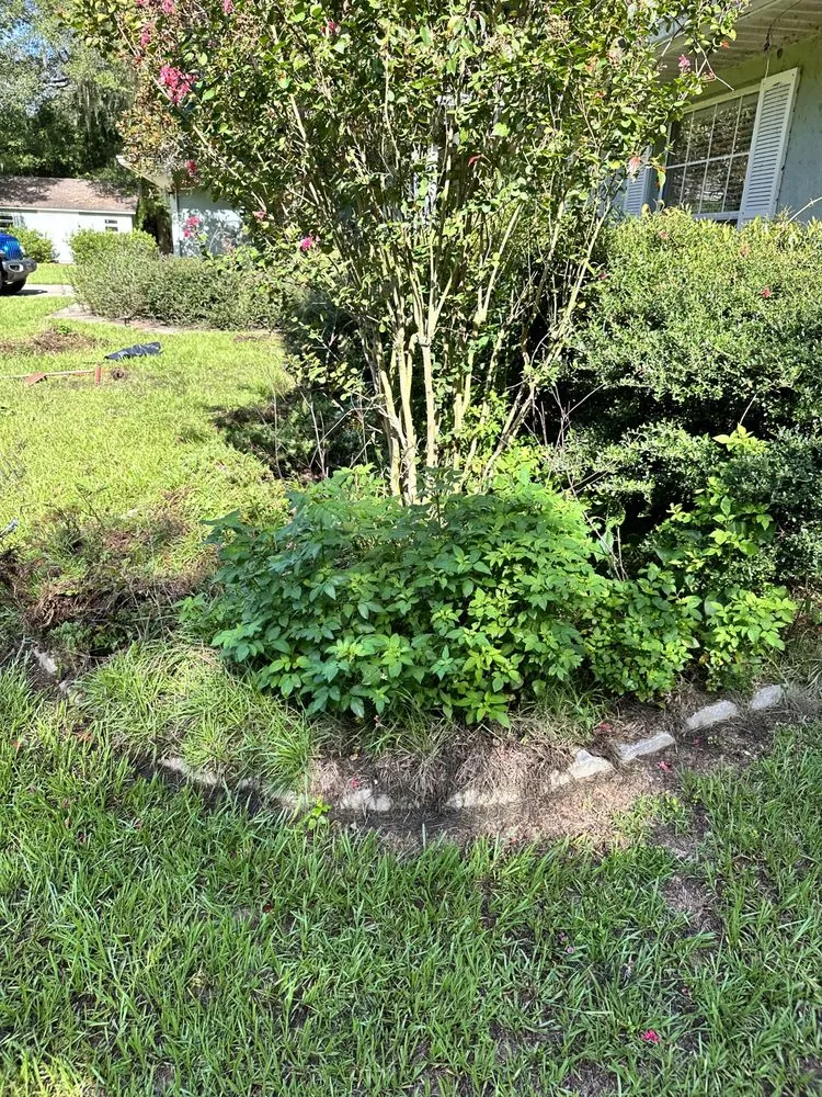 Expert landscape installation in Ocala, FL - Von’s Landscaping & Removal Specialist