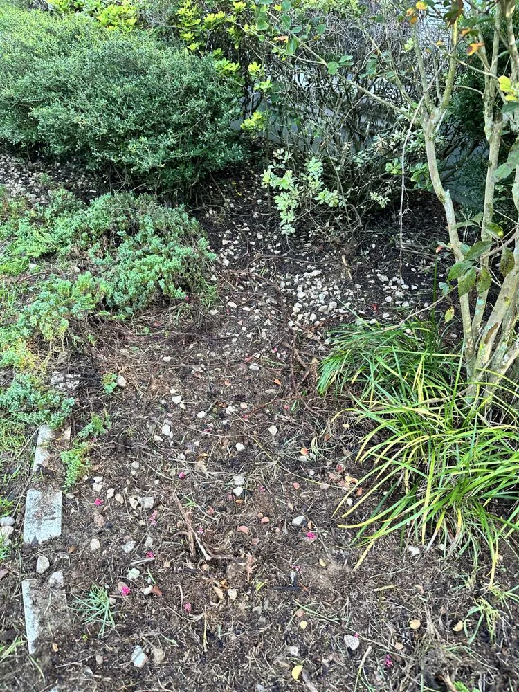 Trusted landscape installation experts serving Ocala, FL - Von’s Landscaping & Removal Specialist