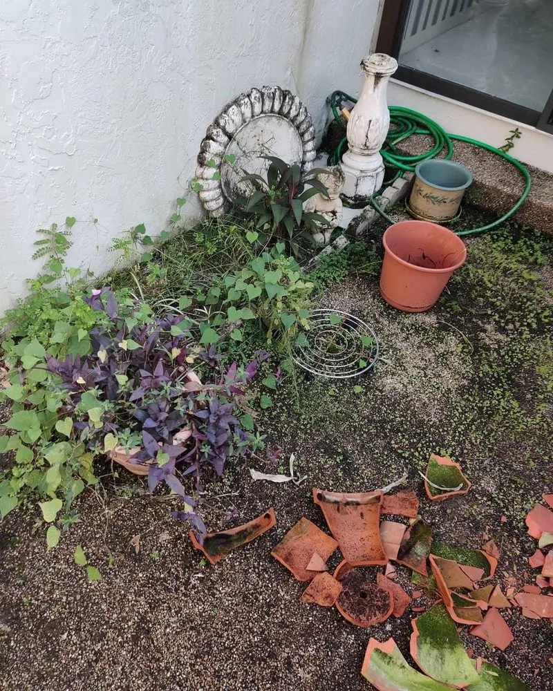 Trusted landscaping services experts serving Ocala, FL - Von’s Landscaping & Removal Specialist