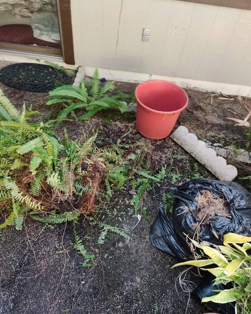 Affordable lawn care service with custom design across Ocala, FL - Von’s Landscaping & Removal Specialist