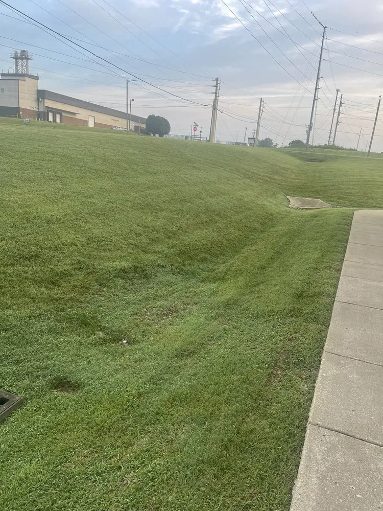 Professional yard cleanup service experts serving Clarksville, TN - Vonte's Landscaping