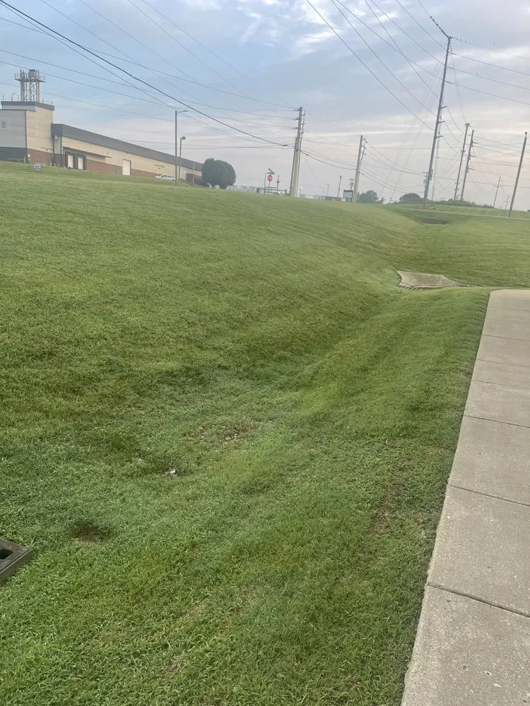 Reliable yard cleanup service for year-round maintenance across Clarksville, TN - Vonte's Landscaping