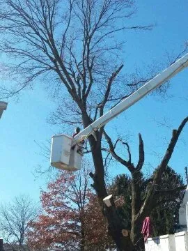 Reliable residential landscaping in Shermans Dale, PA - Voorhees Logging & Tree Service