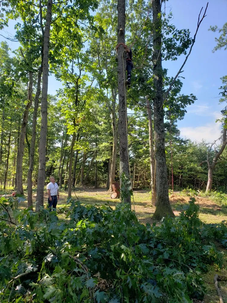Reliable landscaping services for year-round maintenance across Shermans Dale, PA - Voorhees Logging & Tree Service