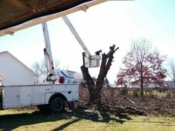 Local garden landscaping for beautiful yards in Shermans Dale, PA by Voorhees Logging & Tree Service