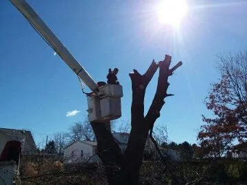 Local landscape design in Shermans Dale, PA - Voorhees Logging & Tree Service