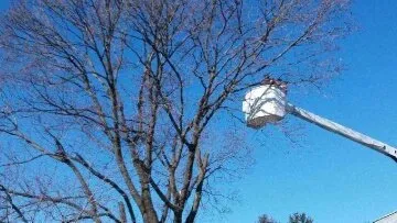 Top-rated landscaping services experts serving Shermans Dale, PA - Voorhees Logging & Tree Service