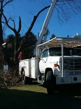 Reliable garden landscaping in Shermans Dale, PA - Voorhees Logging & Tree Service
