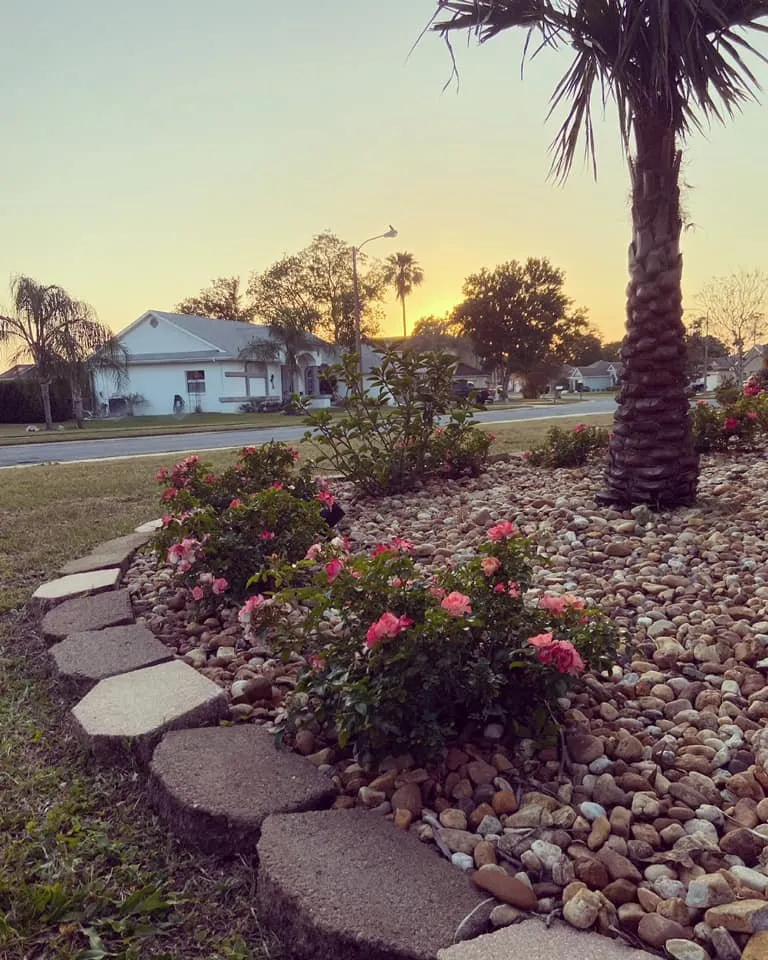 Reliable yard maintenance for beautiful yards in Hudson, FL by Vorce Family Property Maintenance
