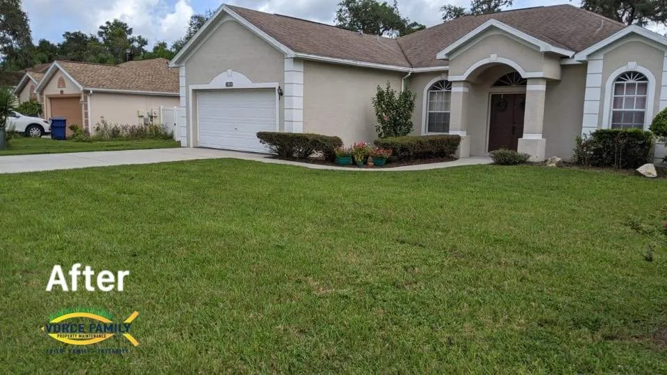 Affordable outdoor landscaping experts serving Hudson, FL - Vorce Family Property Maintenance
