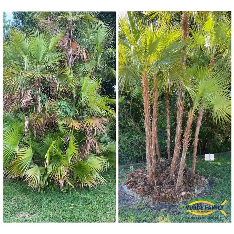 Reliable landscaping services experts serving Hudson, FL - Vorce Family Property Maintenance