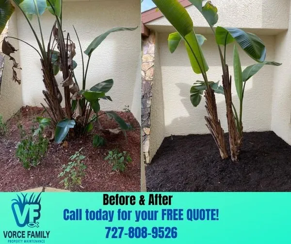 Reliable lawn care service for year-round maintenance in Hudson, FL by Vorce Family Property Maintenance