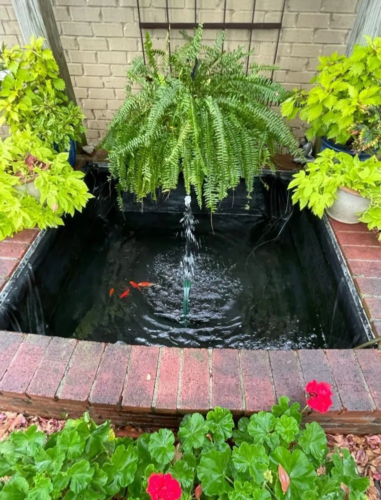 Affordable yard maintenance near you across Houston, TX - Vortex Aquatics