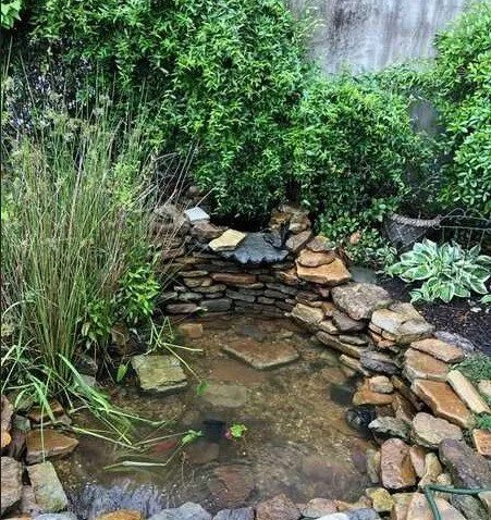 Local lawn care service with custom design across Houston, TX - Vortex Aquatics