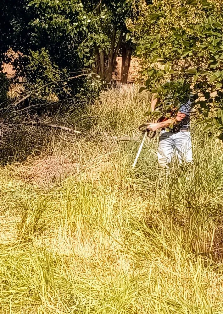 Trusted residential landscaping for residential properties in Preston, ID by Vortex Lawn Care