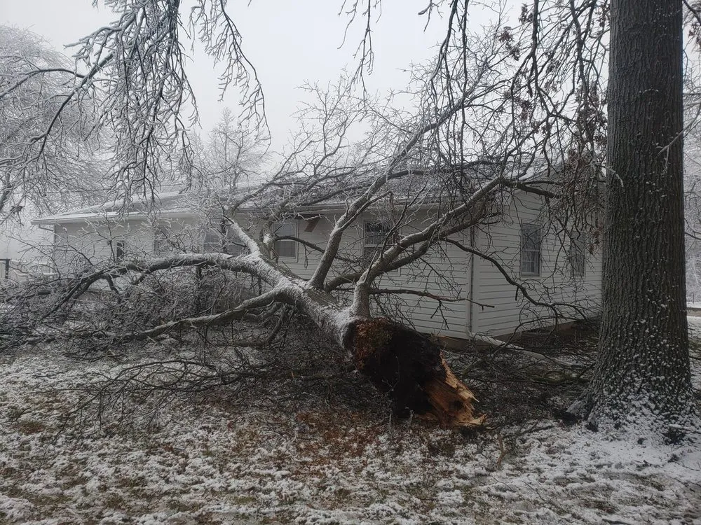 Reliable landscape design experts serving Columbia, MO - Voss Landscape & Tree Service