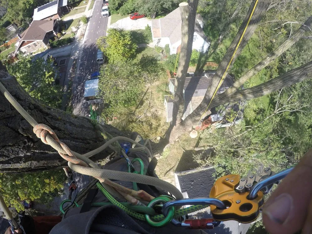 Top-rated lawn mowing service in Columbia, MO by Voss Landscape & Tree Service