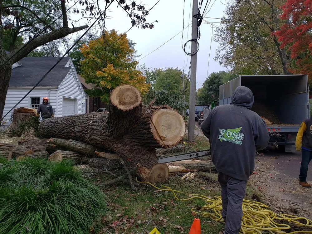 Trusted yard cleanup service experts serving Columbia, MO - Voss Landscape & Tree Service