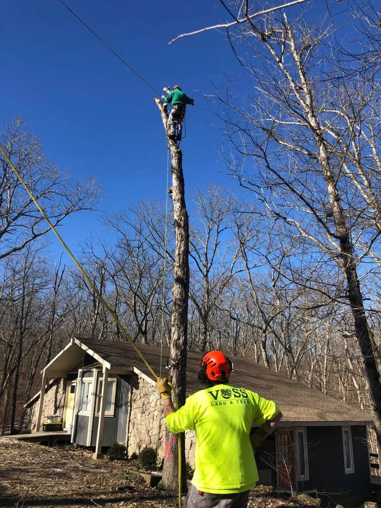 Top-rated landscape installation in Columbia, MO by Voss Landscape & Tree Service