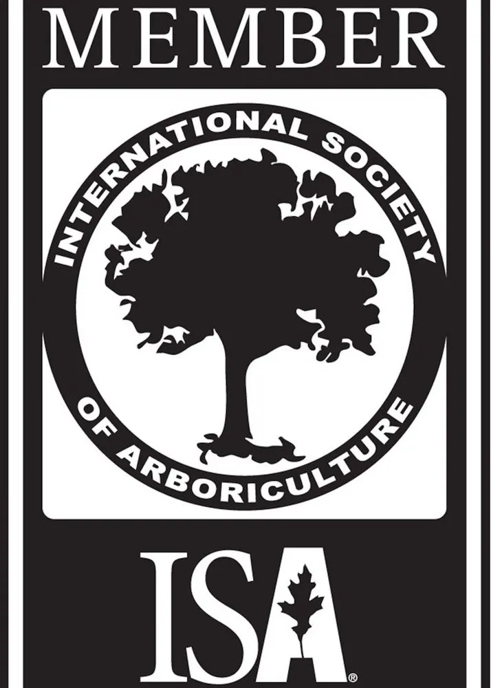 Trusted landscaping services for outdoor upgrades in Columbia, MO by Voss Landscape & Tree Service