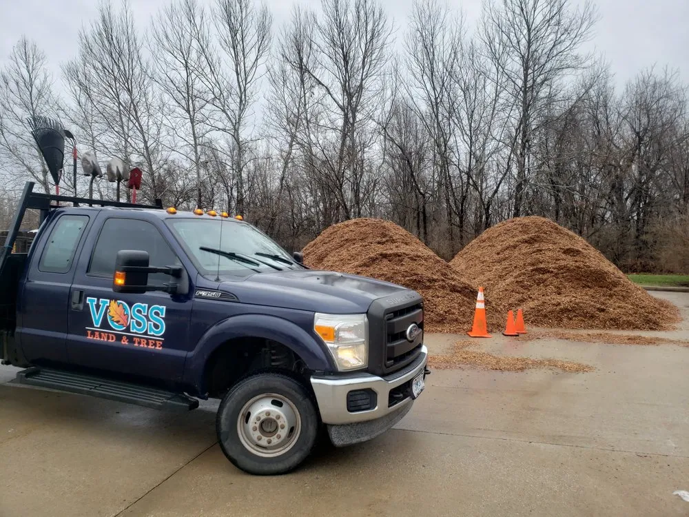 Reliable yard cleanup service in Columbia, MO by Voss Landscape & Tree Service