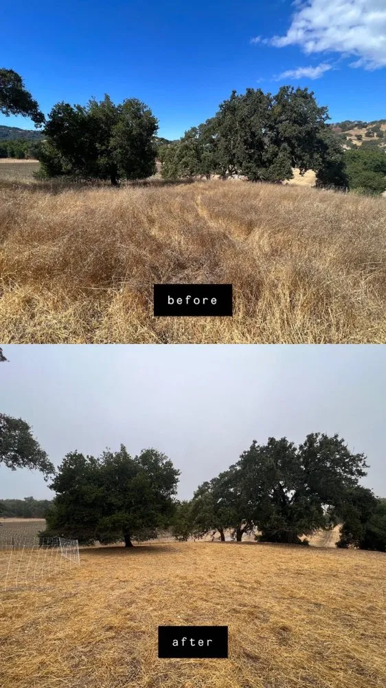 Affordable garden landscaping for outdoor upgrades in Morgan Hill, CA by Votaw Livestock