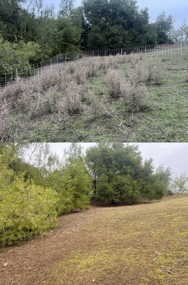 Local landscape design for outdoor upgrades across Morgan Hill, CA - Votaw Livestock