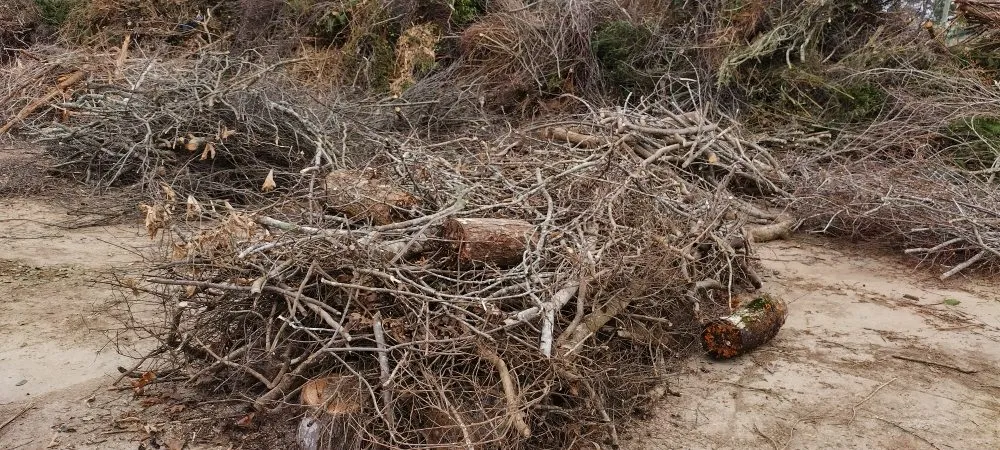 Custom residential landscaping experts serving Piedmont, SC - VOTS Junk Removal & Landscape Delivery